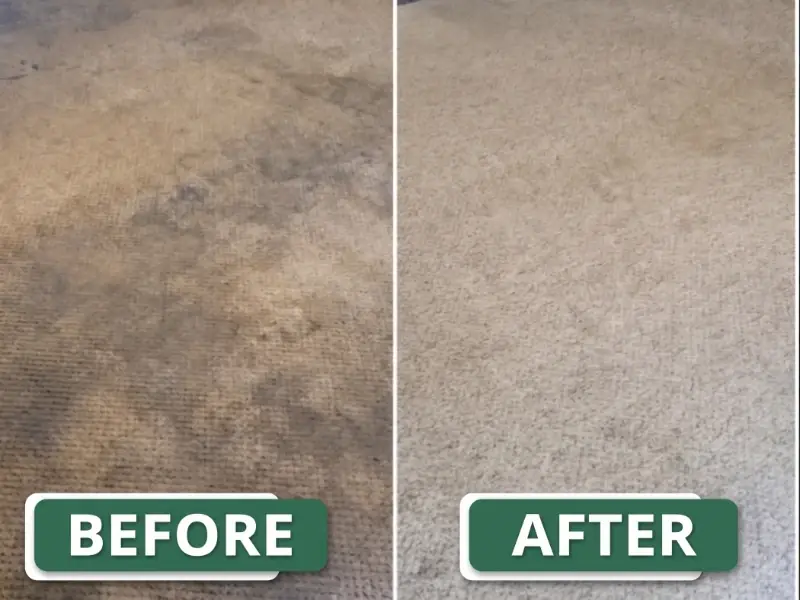 Before and after carpet cleaning New York — stained living room carpet restored