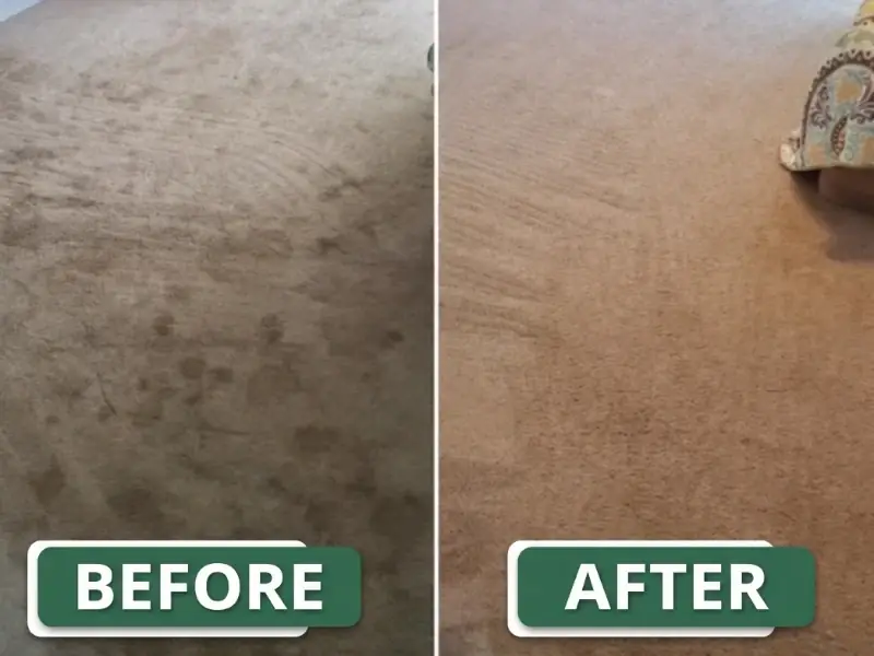 Before and after carpet cleaning NYC — traffic lane stains removed