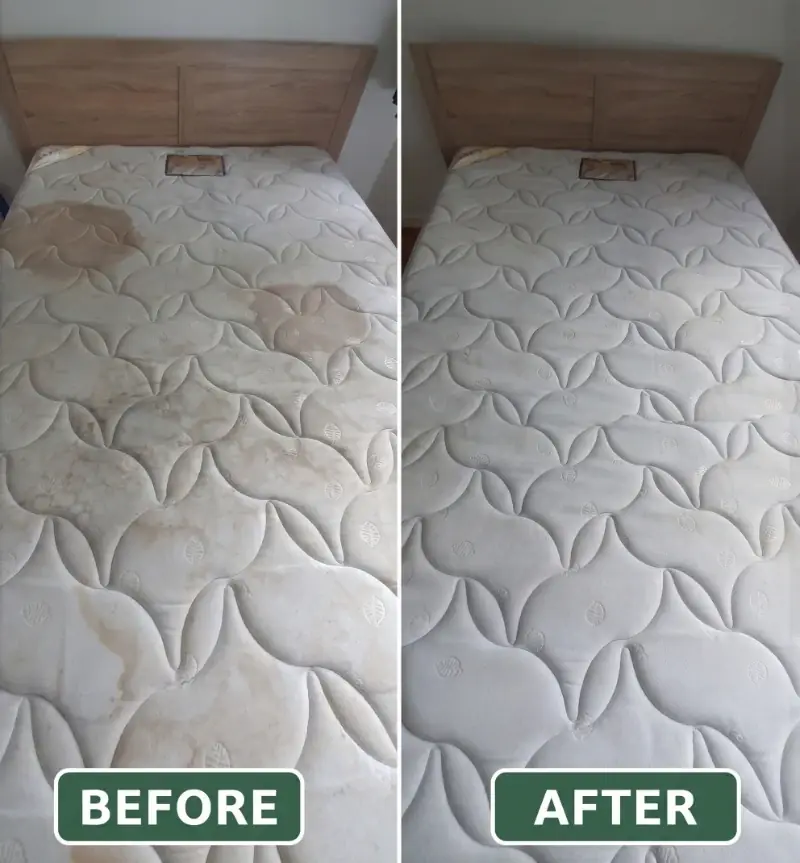 Before and after upholstery cleaning New York — heavy staining lifted