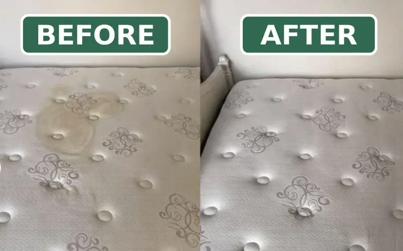 Before and after mattress cleaning NYC — stain lifted from mattress top