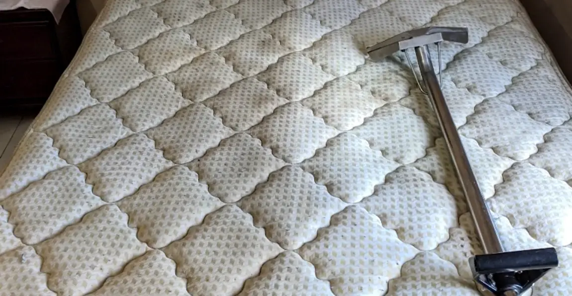 Extraction wand cleaning an upholstered surface with a stainless steel tool