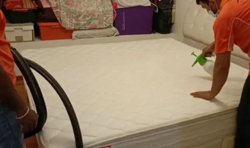 Technicians pre-treating a mattress before extraction in a bedroom