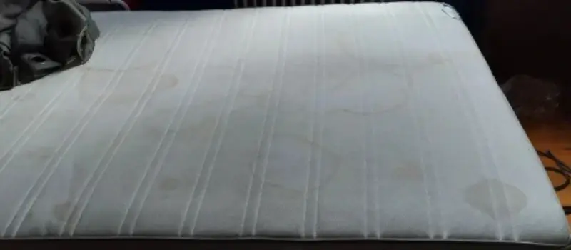 Close-up of body fluid staining on a mattress before cleaning