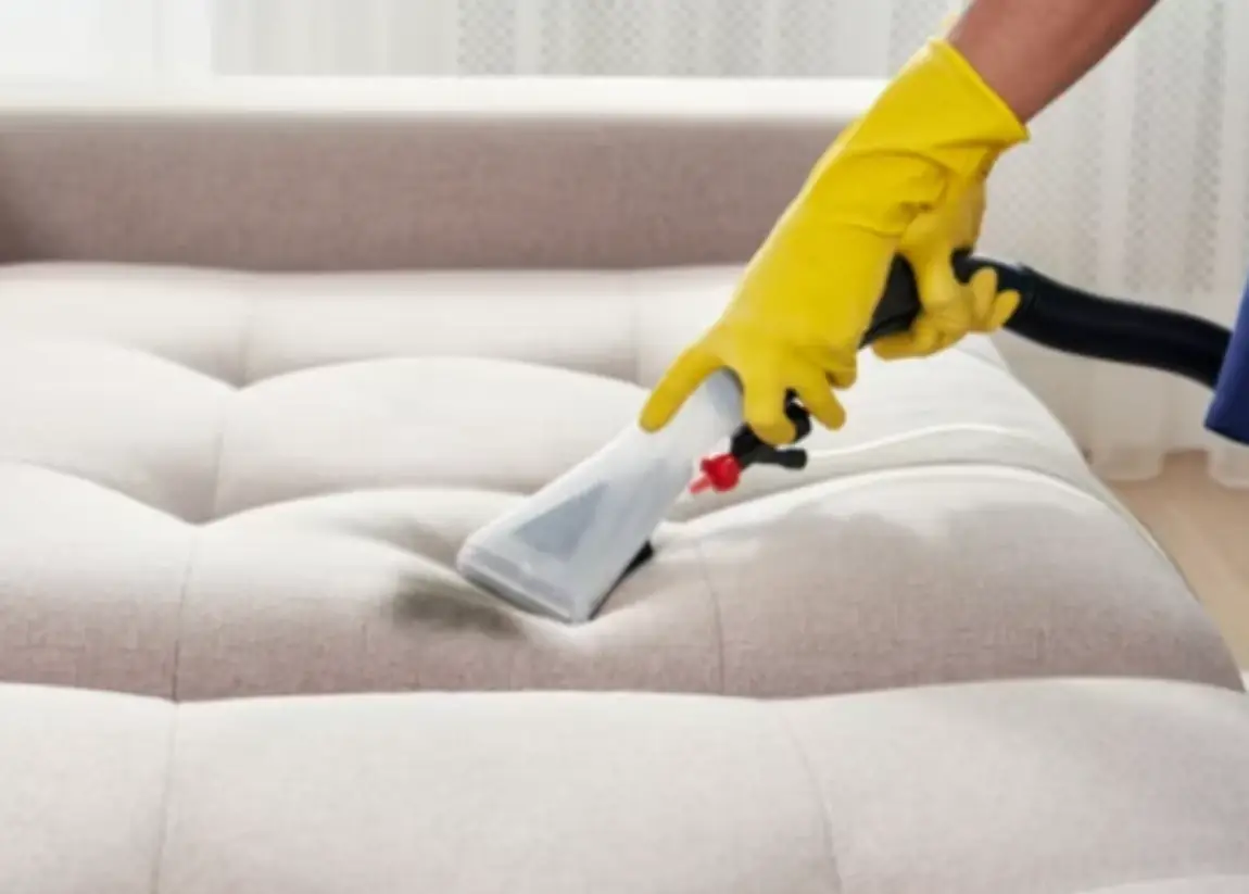 Spot extraction lifting a stain from a sofa cushion