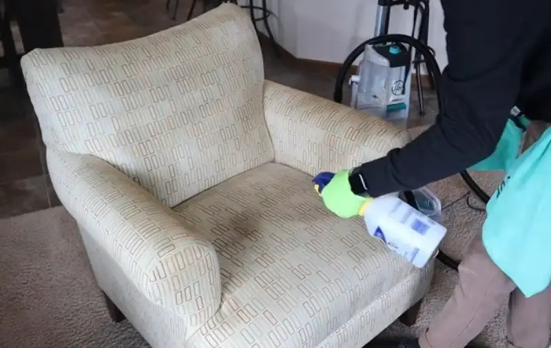 Technician cleaning a patterned accent armchair with upholstery equipment